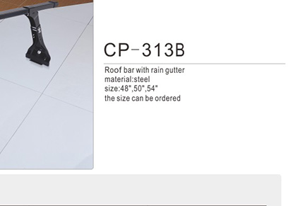 cp-313b